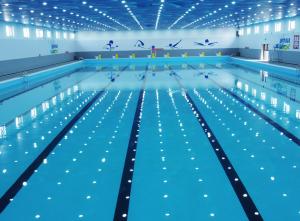 浩博臨城實驗中學